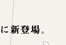 �p�t�m�d�s�s�n�|�N�l�b�g
